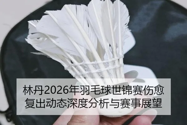 lin-dan-nian-yu-mao-qiu-shi-jin-sai-shang-yu-fu-chu-dong-tai-shen-du-fen-xi-yu-sai-shi-zhan-wang-2-892.jpg