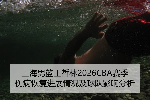 上海男篮王哲林2026CBA赛季伤病恢复进展情况及球队影响分析